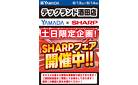 土日限定企画