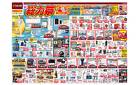 夏の総力祭（7月16日～7月27日）