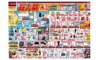 夏の総力祭（7月16日～7月27日）