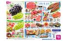8/11(祝・火)-8/13(木)_