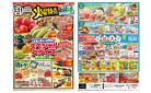 8月11日(火)～8月16日(日)