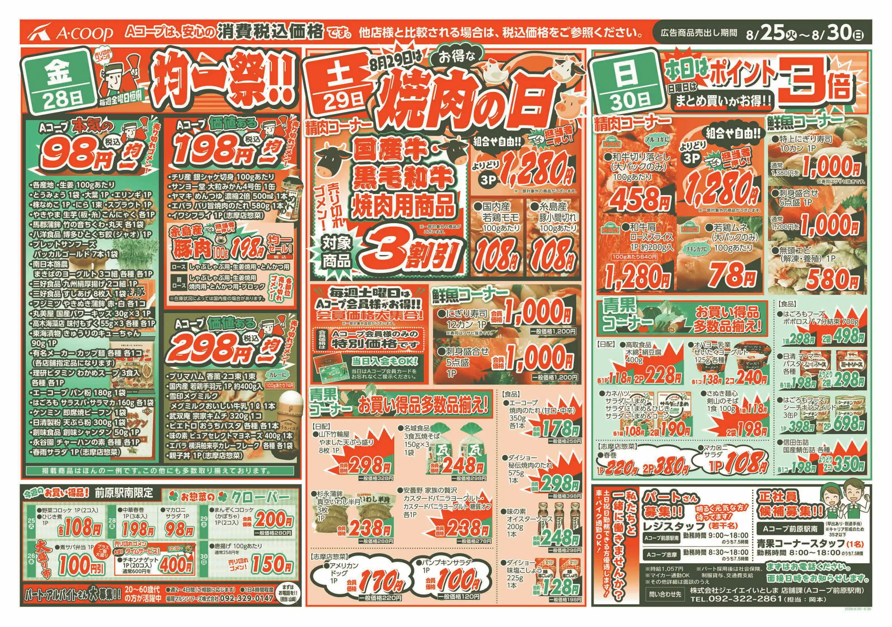 活動歴および当時の関連ビジュアル記録
