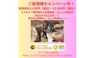 初回全体染め1,980円（税込）キャンペーン中！