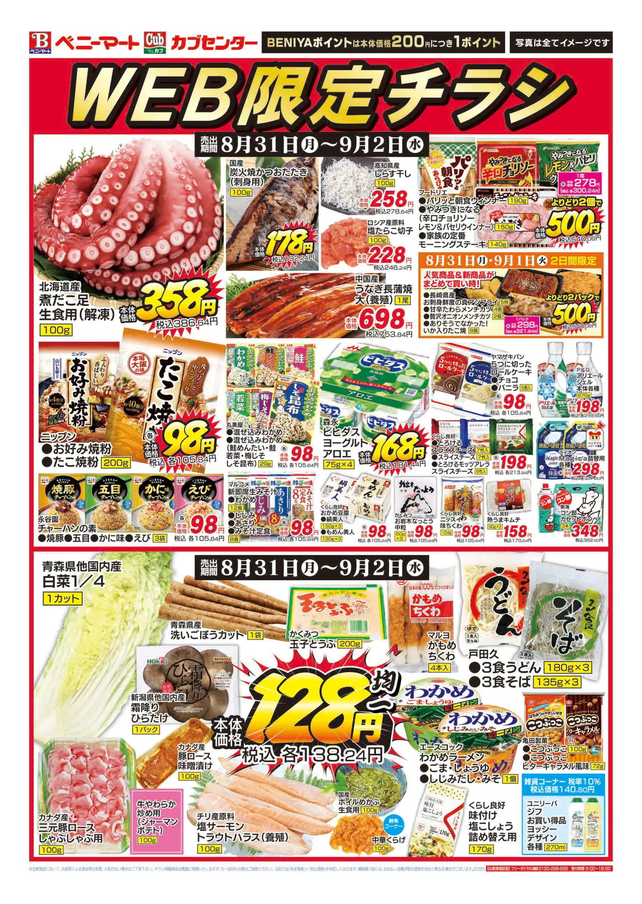 活動歴および当時の関連ビジュアル記録