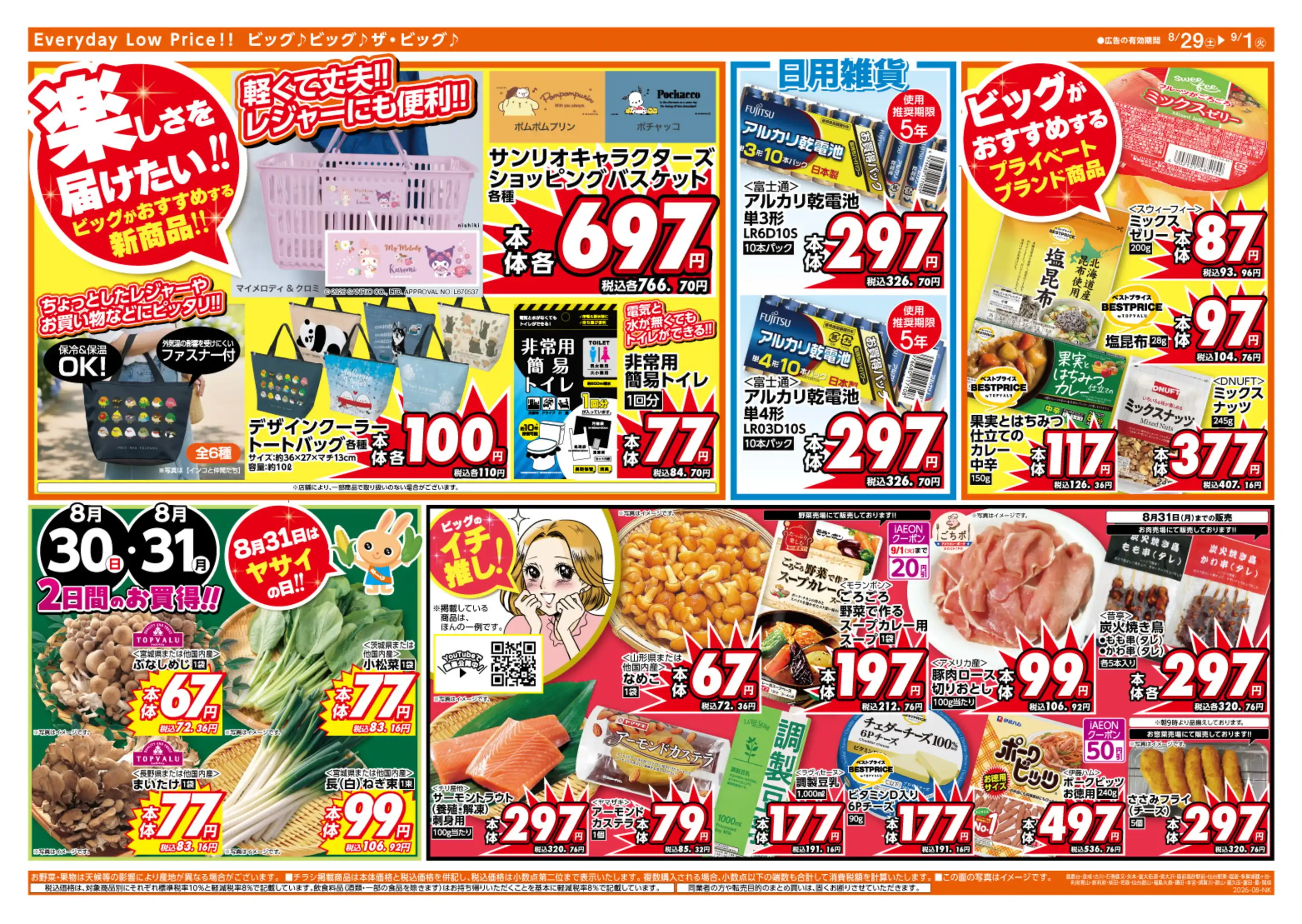 活動歴および当時の関連ビジュアル記録