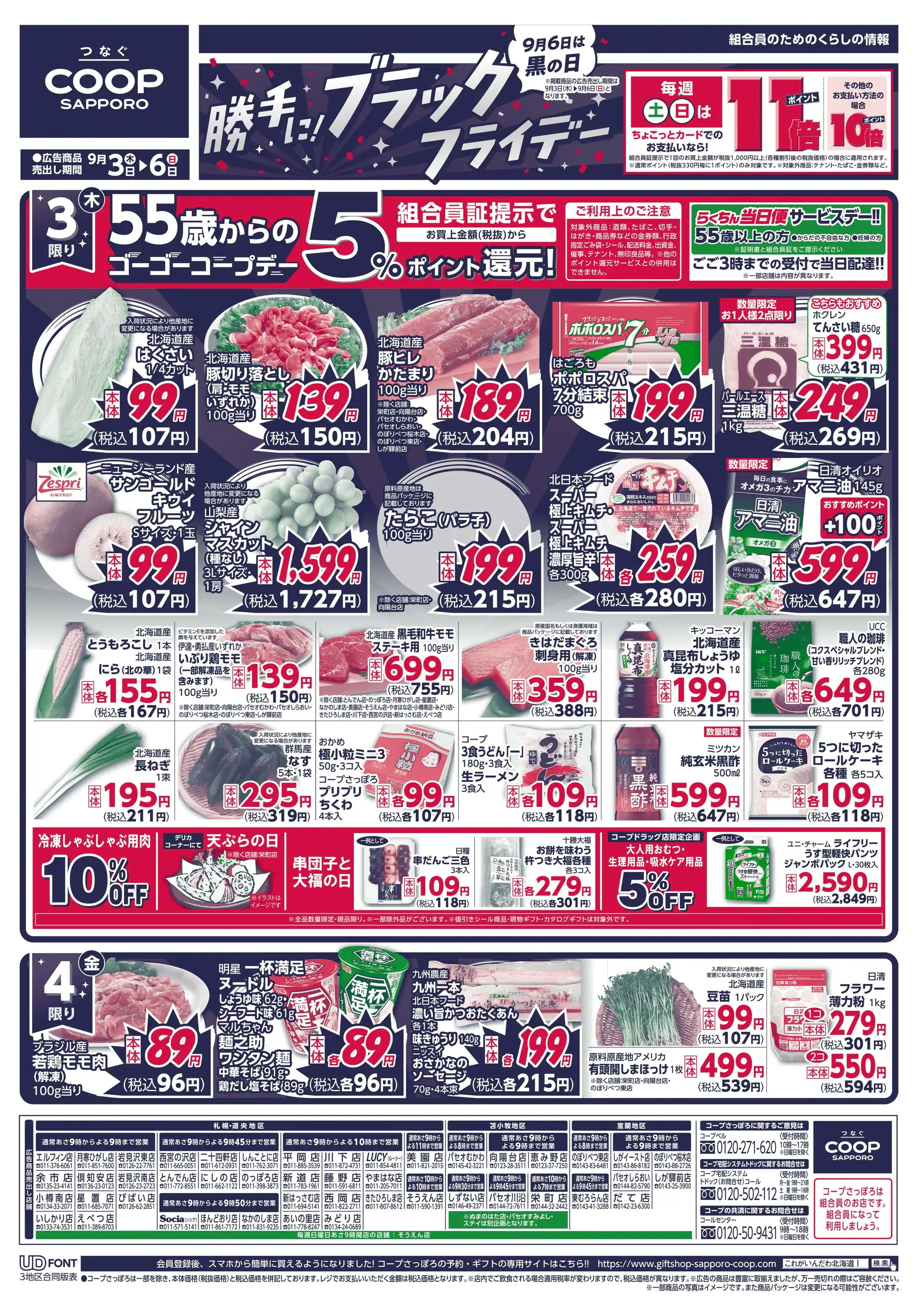 活動歴および当時の関連ビジュアル記録