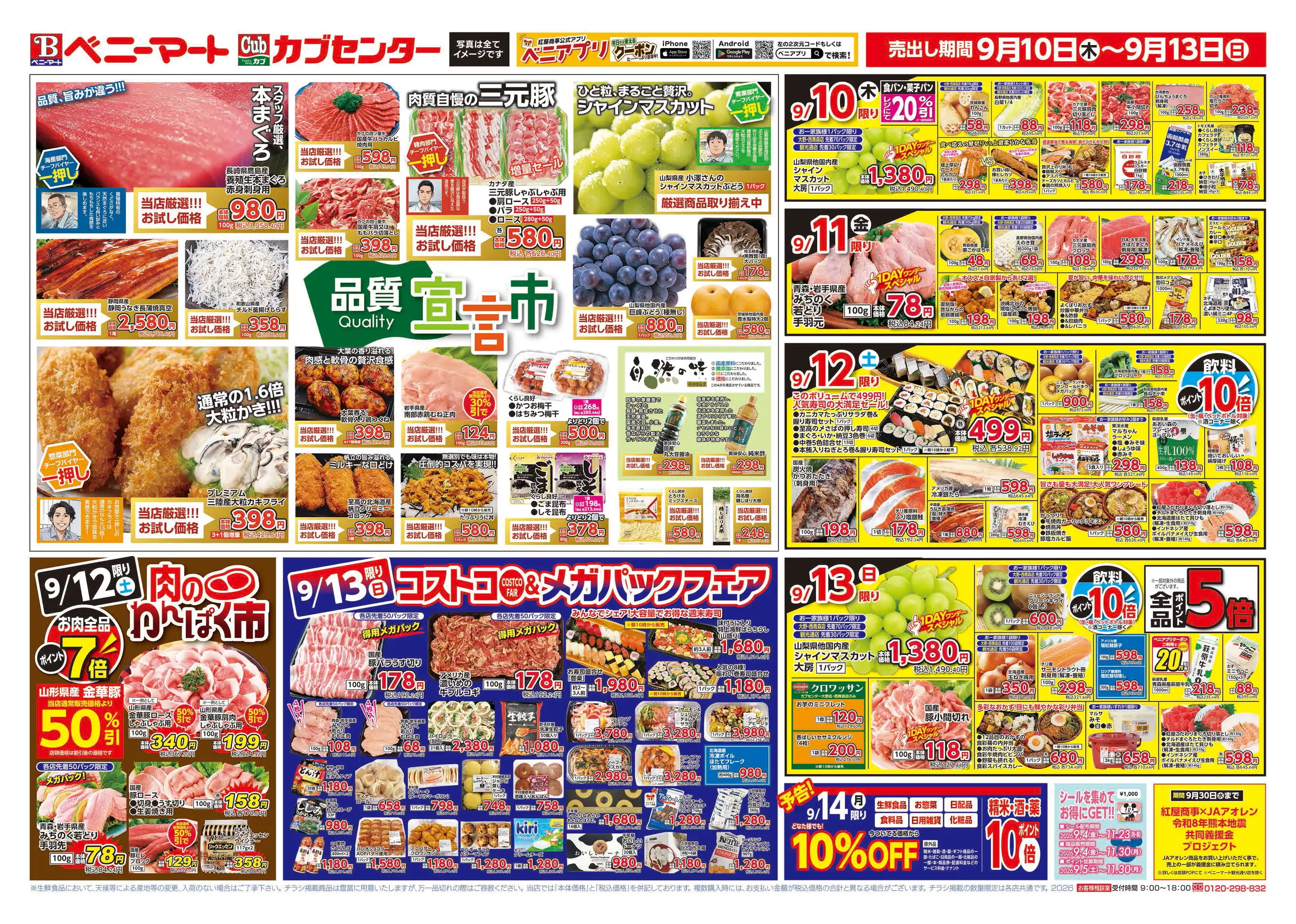カブ センター チラシ