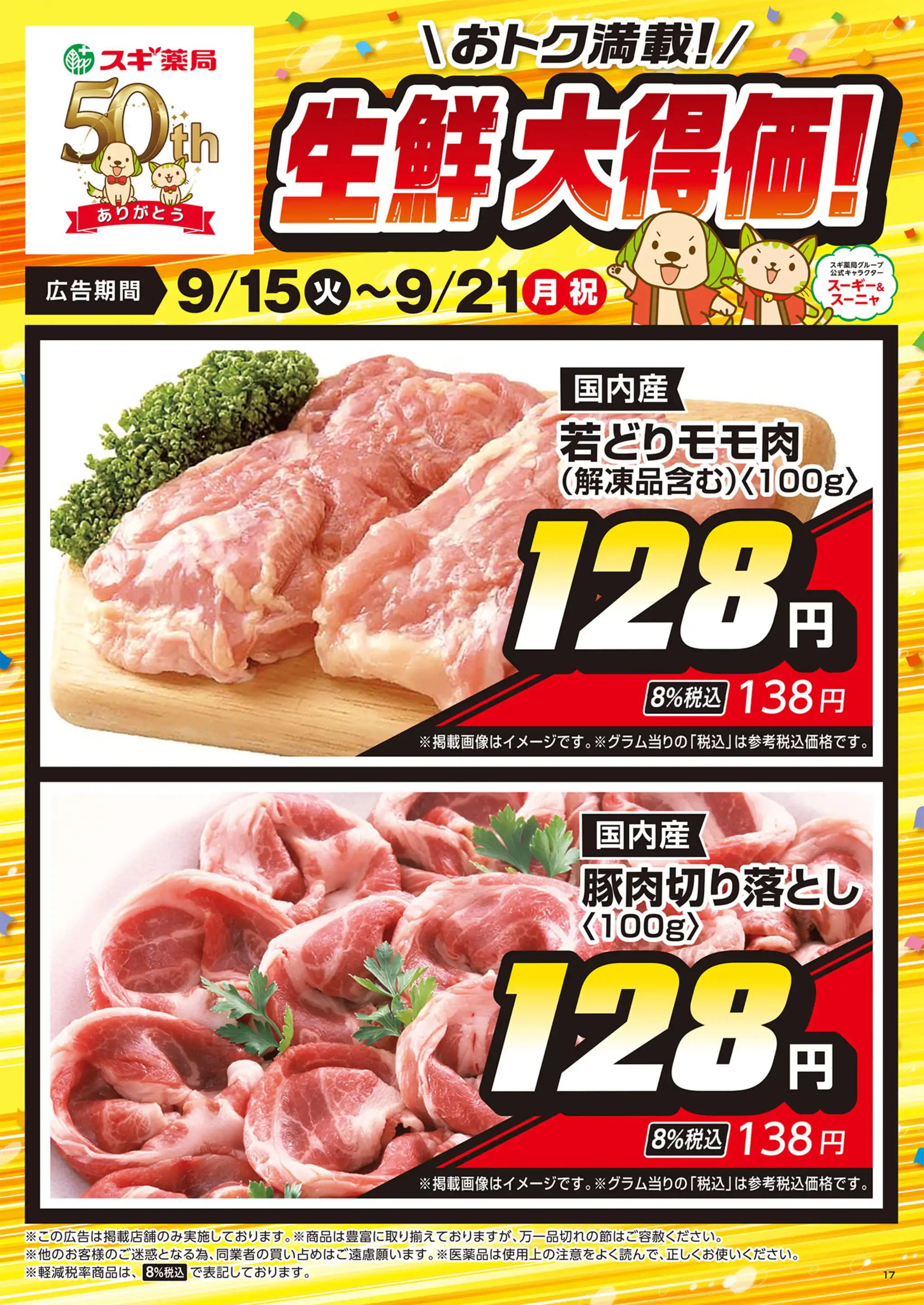 活動歴および当時の関連ビジュアル記録