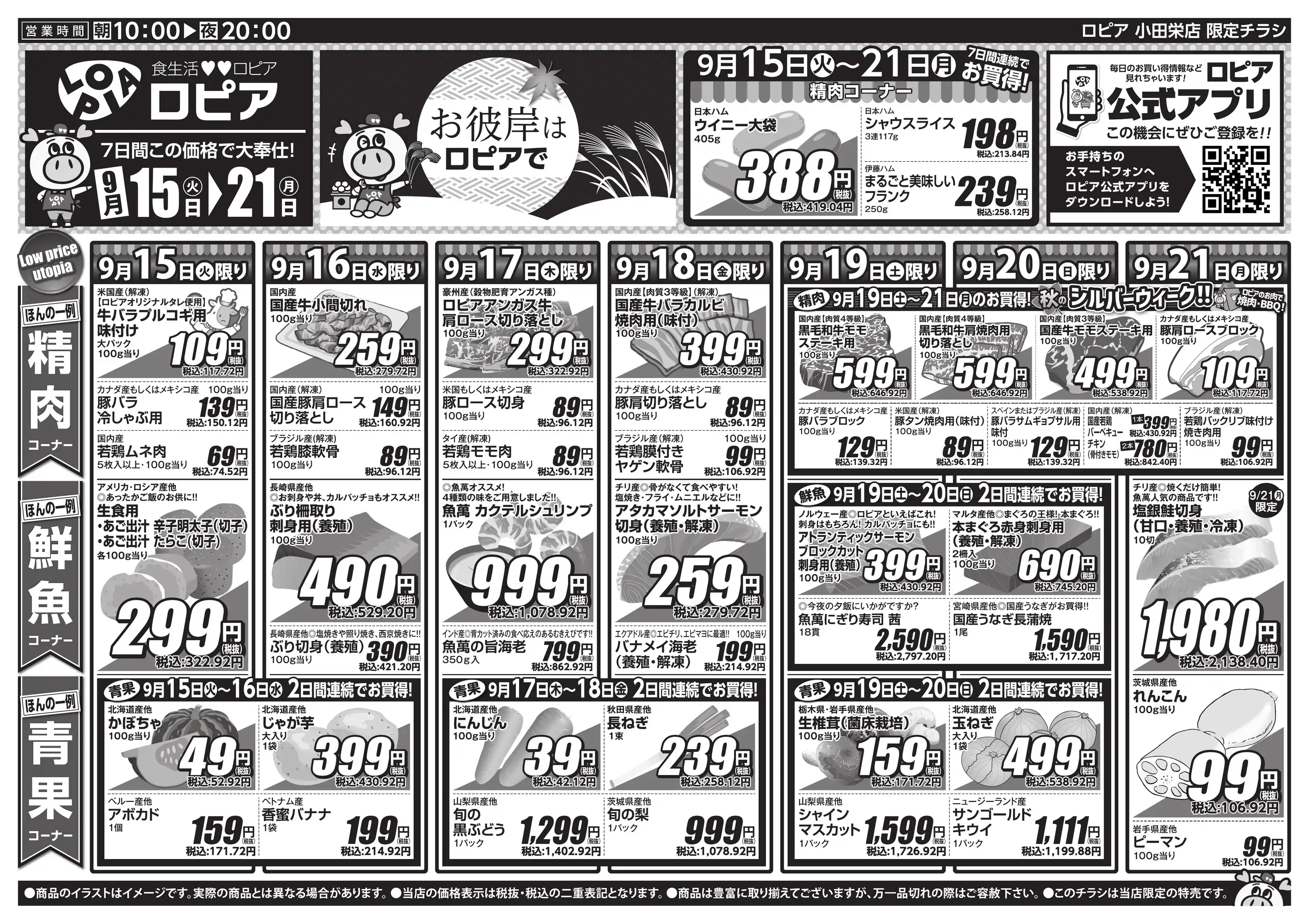 活動歴および当時の関連ビジュアル記録