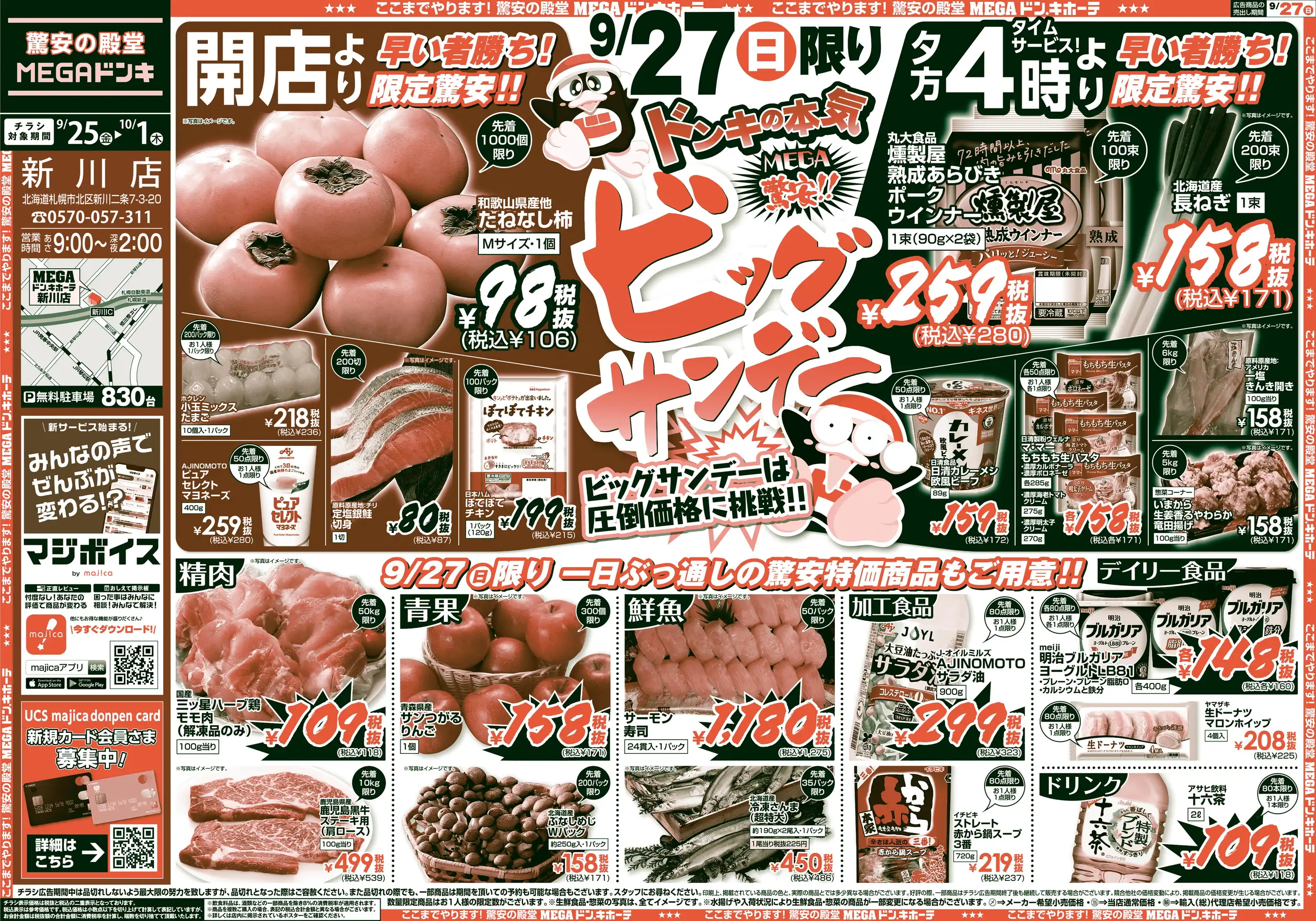 活動歴および当時の関連ビジュアル記録