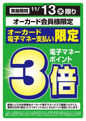 パームシティ子供靴和歌山チラシ 販売