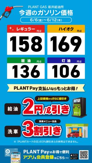 PLANT PLANT-2 坂井店のチラシ・特売情報・告知 | デリッシュチラシ