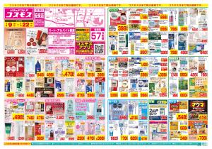 1/9〜1/22_のチラシ画像