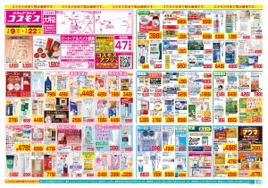 1/9〜1/22_のチラシ画像