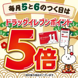 5と6のつく日はドラッグイレブンポイント5倍のチラシ画像