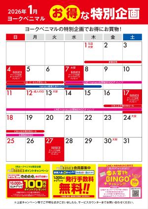 1月のお得な特別企画カレンダーのチラシ画像