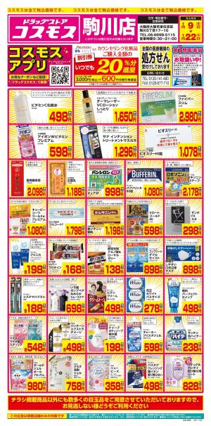 1/9〜1/22_のチラシ画像