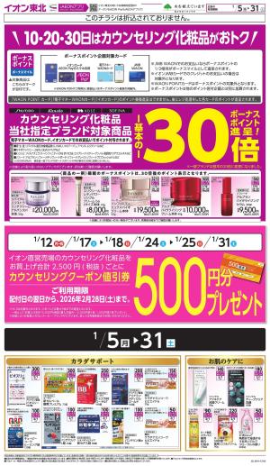 月間WAONボーナスポイントのチラシ画像