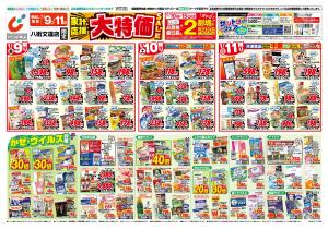 1/9号のチラシ画像