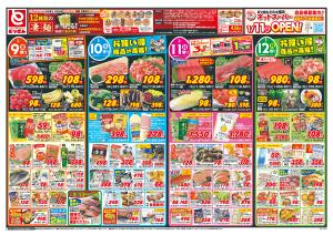 1/9号_のチラシ画像