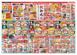 祝御成人のチラシ画像