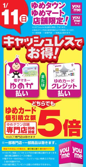 キャッシュレス5倍_のチラシ画像