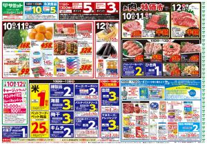 1月10日(土)〜1月12日(月)号のチラシ画像