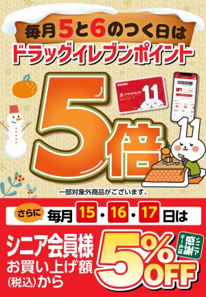 5と6のつく日はドラッグイレブンポイント5倍のチラシ画像