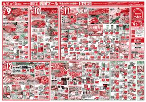 1月９日（金）〜１月１５日（木）のチラシ画像