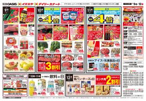 01/09号のチラシ画像