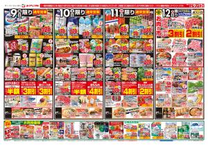 1/9号チラシのチラシ画像