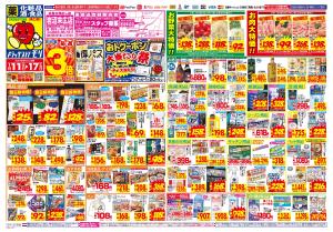 1/11(日)〜1/17(土)のチラシ画像
