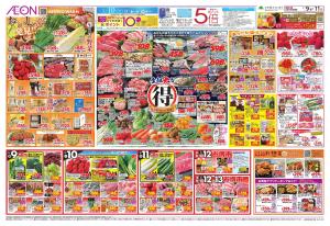 1/9〜1/13のチラシ画像