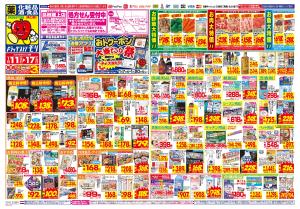 1/11(日)〜1/17(土)のチラシ画像