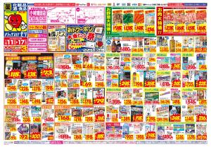 1/11(日)〜1/17(土)のチラシ画像