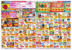 1/11(日)〜1/17(土)のチラシ画像
