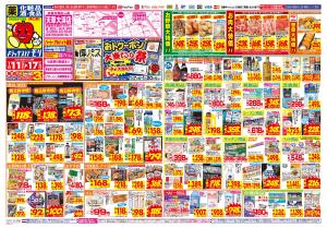 1/11(日)〜1/17(土)のチラシ画像