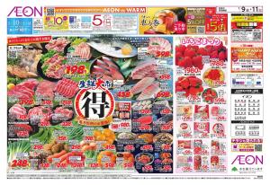 1/9〜1/13のチラシ画像