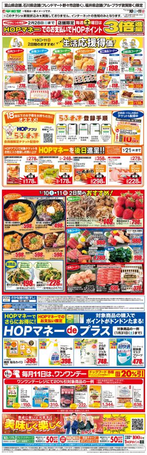 WEB限定 1/10（土）〜生活応援得価2日間のおすすめのチラシ画像