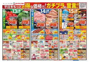 1/13号チラシのチラシ画像