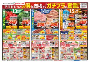 1/13号チラシのチラシ画像