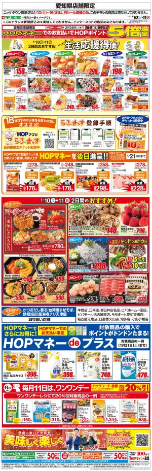 WEB限定 1/10（土）〜生活応援得価2日間のおすすめのチラシ画像