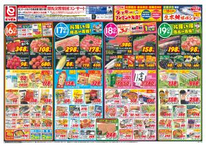 1/16号_のチラシ画像