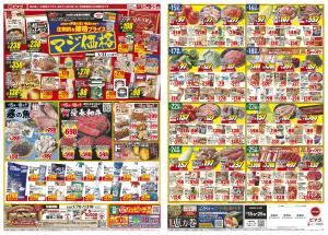 1月15日(木)〜1月25日(日)のチラシ画像