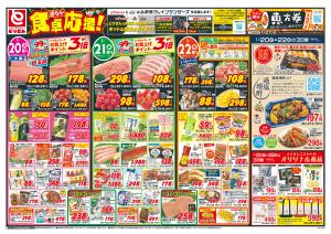 1/20号_のチラシ画像