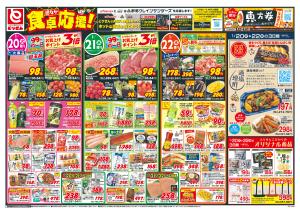 1/20号_のチラシ画像