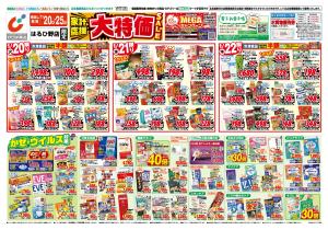 1/20号のチラシ画像