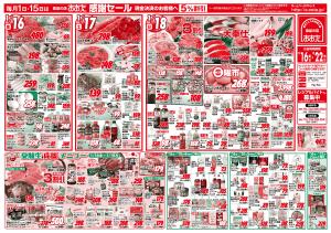 １月１６日（金）〜１月２２日（木）のチラシ画像