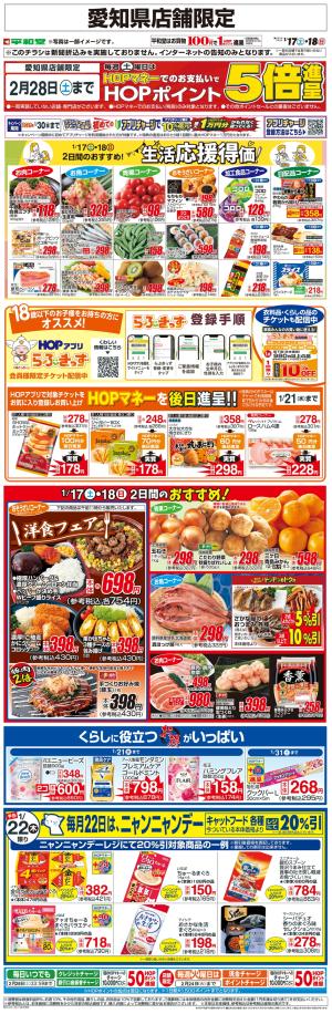 WEB限定 1/17（土）〜生活応援得価2日間のおすすめのチラシ画像