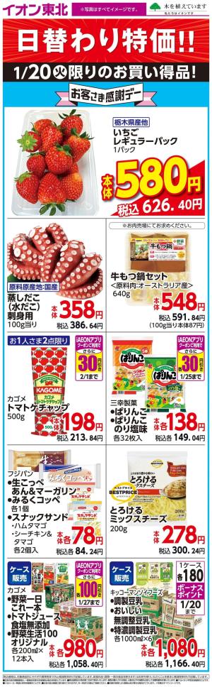 スーパー生鮮大市1/20日替わりのチラシ画像